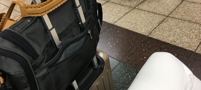 ルドゥーテ展 5/3、4 終了しました。 ルドゥーテ展 5/3、4 終了しました。
