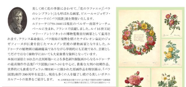 5月3、4、5日 ルドゥーテの「バラ図譜」展にて出演します 5月3、4、5日 ルドゥーテの「バラ図譜」展にて出演します